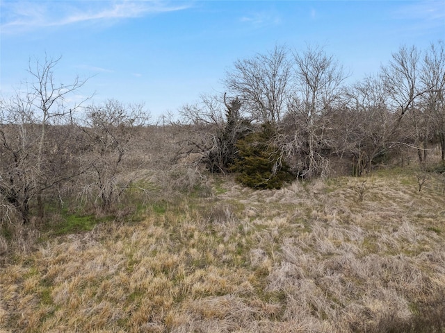 Listing photo 3 for 695 Oakdale Dr, Elm Mott TX 76640