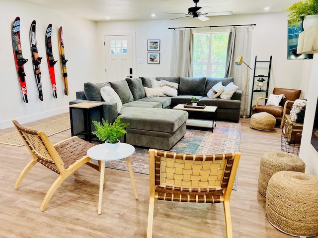 living room with ceiling fan and light wood-type flooring