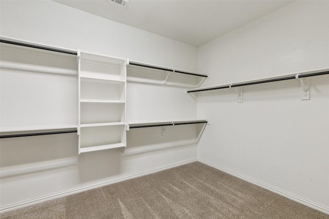 spacious closet with carpet flooring