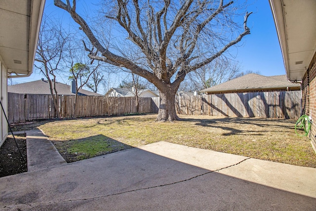 view of yard featuring a patio and a fenced backyard