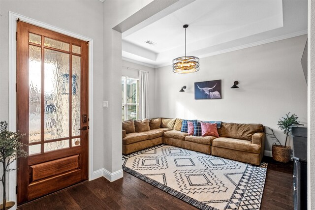 foyer entrance with a raised ceiling and dark wood-type flooring