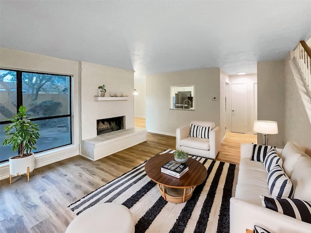 living room featuring hardwood / wood-style flooring