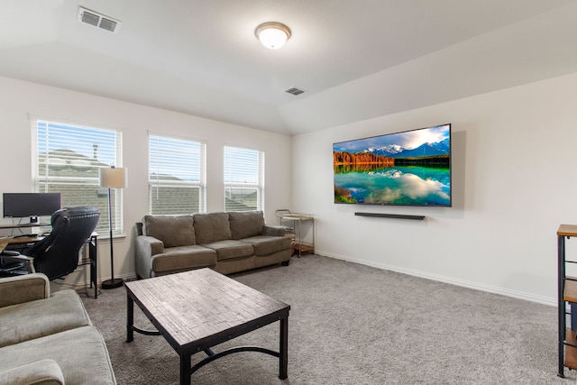 carpeted living room with lofted ceiling and a wealth of natural light