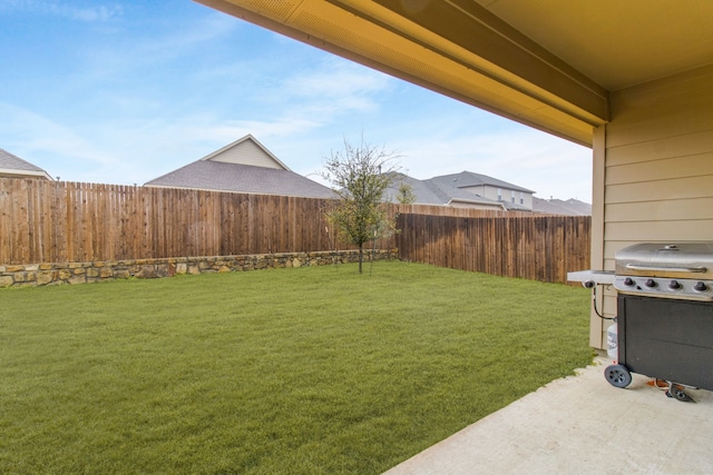 view of yard with a patio area