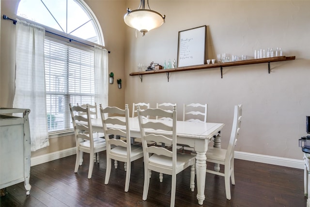 dining room featuring dark hardwood / wood-style flooring