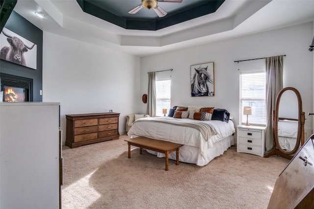 carpeted bedroom featuring ceiling fan, a fireplace, a tray ceiling, and multiple windows