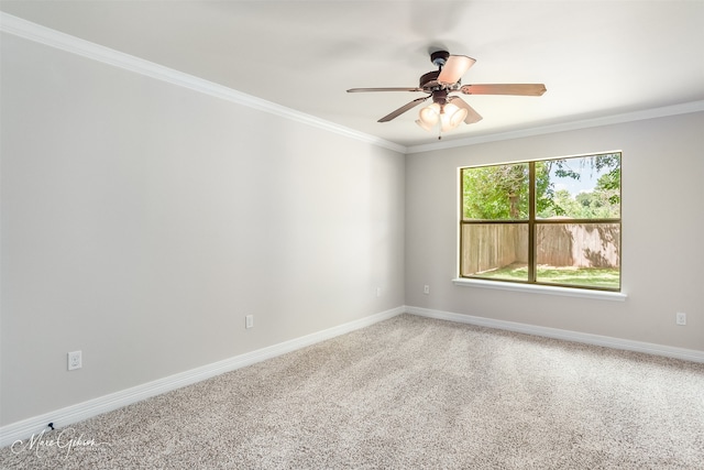 empty room featuring ornamental molding, ceiling fan, and carpet flooring