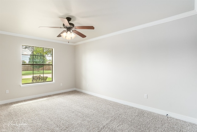 unfurnished room featuring crown molding, carpet, and ceiling fan