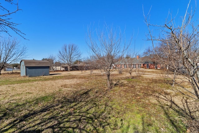 view of yard with a storage shed