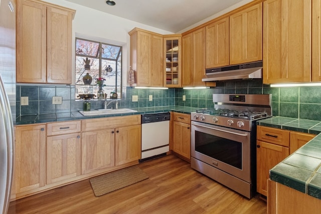 kitchen with tasteful backsplash, sink, tile counters, stainless steel appliances, and light wood-type flooring