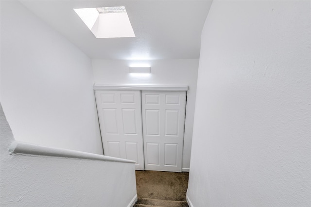 stairs featuring carpet flooring and a skylight