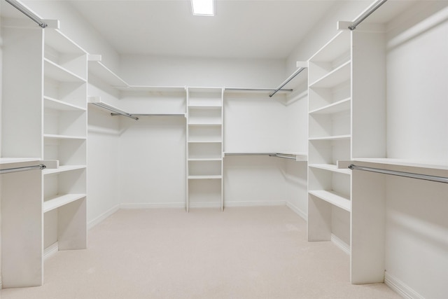 spacious closet with light colored carpet