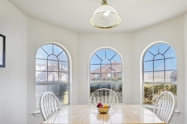 dining room featuring a healthy amount of sunlight