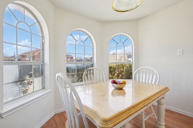 dining area featuring a wealth of natural light and light hardwood / wood-style flooring