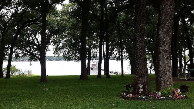 view of yard with a water view