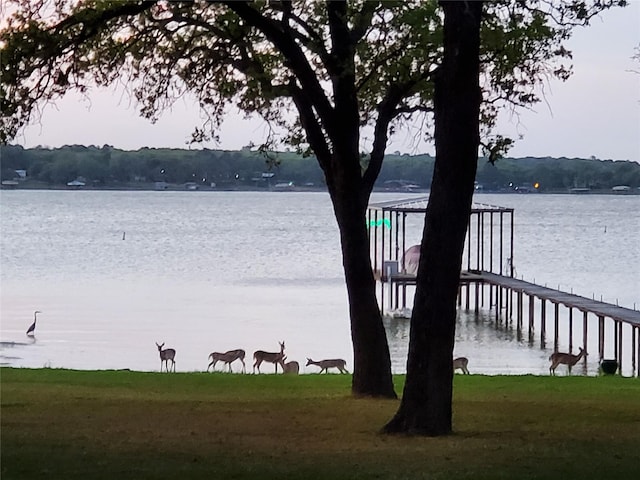 view of dock with a water view