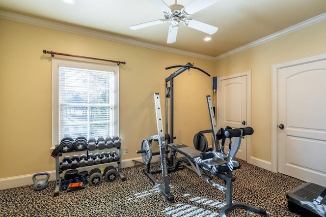 exercise area featuring crown molding, carpet floors, and ceiling fan