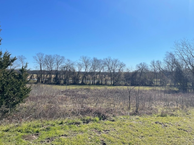 view of nature featuring a rural view