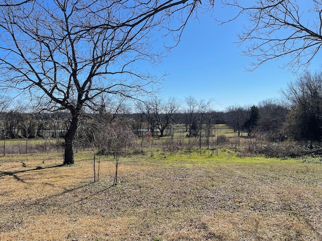 view of yard with a rural view