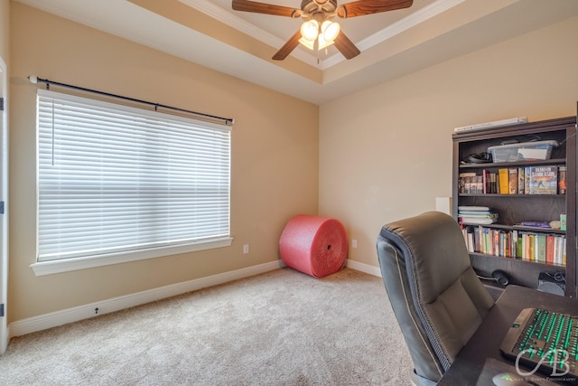 carpeted office with crown molding, a tray ceiling, and ceiling fan