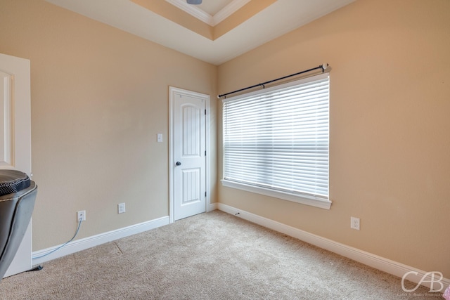 spare room featuring carpet flooring, ornamental molding, and a tray ceiling