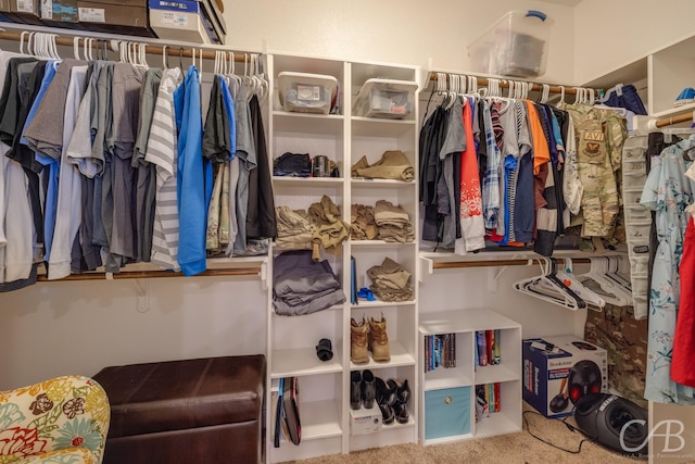 walk in closet featuring carpet