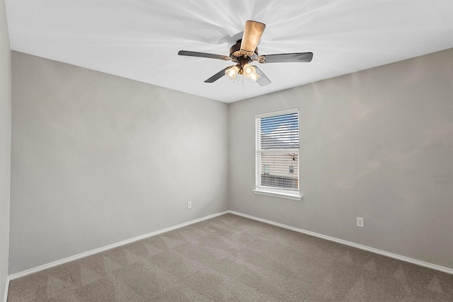 unfurnished room with ceiling fan and carpet flooring