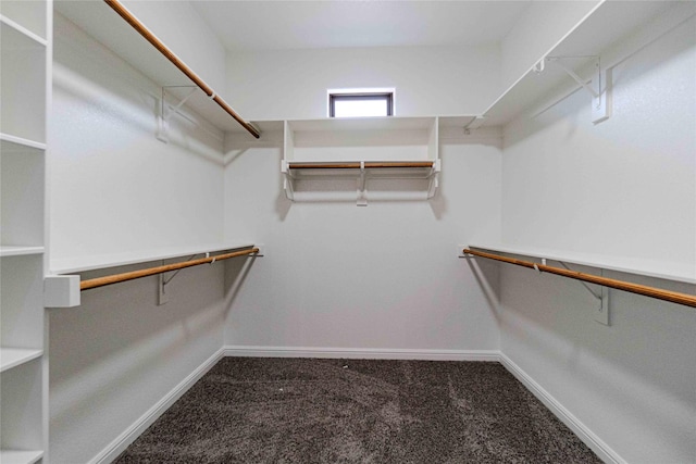 walk in closet featuring carpet flooring