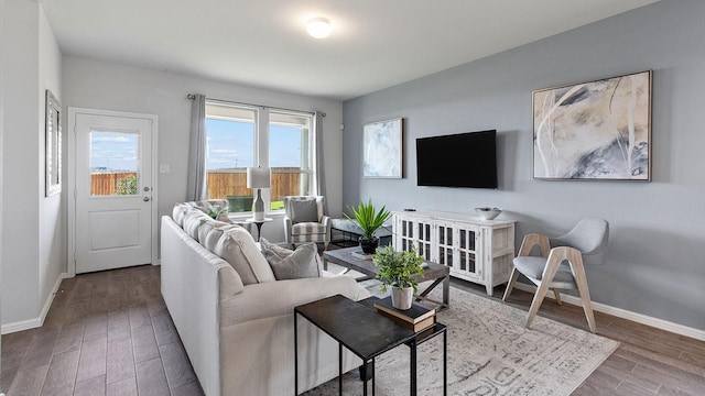 living room featuring hardwood / wood-style floors