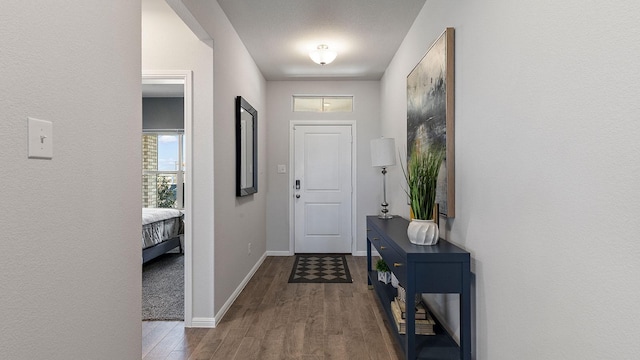 doorway to outside with hardwood / wood-style flooring