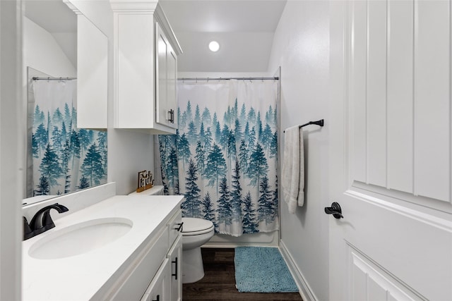 bathroom featuring vanity, hardwood / wood-style flooring, and toilet