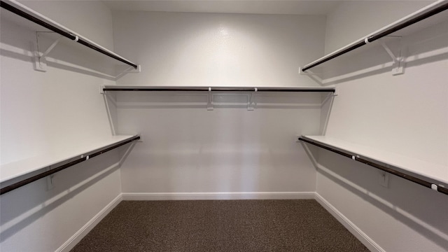 spacious closet with carpet flooring