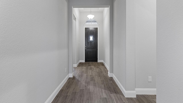 doorway featuring dark wood-type flooring