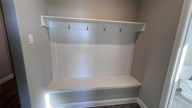 mudroom featuring hardwood / wood-style flooring