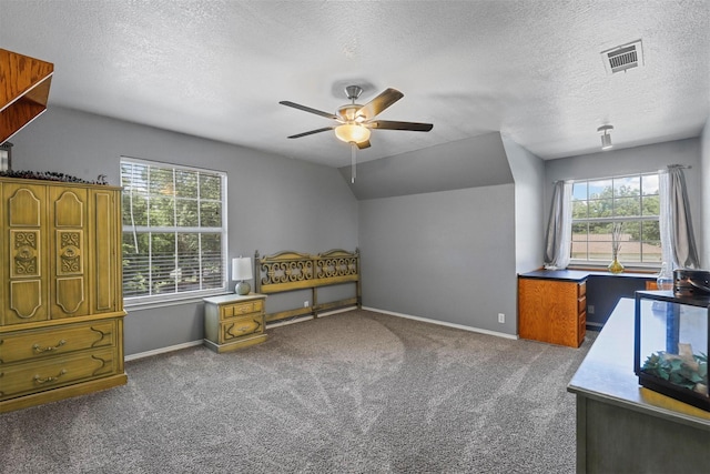 bedroom featuring multiple windows, vaulted ceiling, a textured ceiling, and carpet flooring