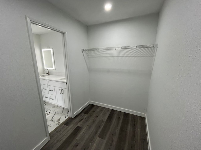 walk in closet featuring sink and dark hardwood / wood-style flooring