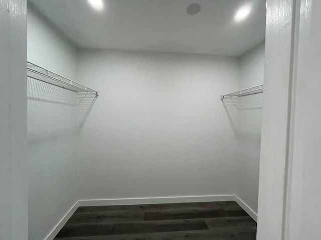 walk in closet with dark hardwood / wood-style flooring