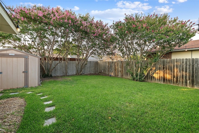 view of yard with a shed