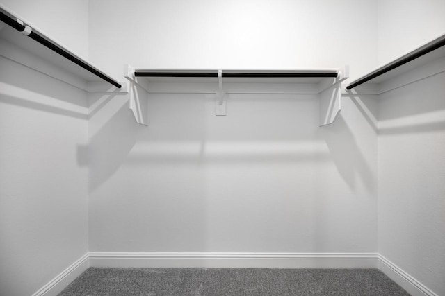 720 Rosemary Rd, Argyle, TX 76226 - walk in closet with carpet