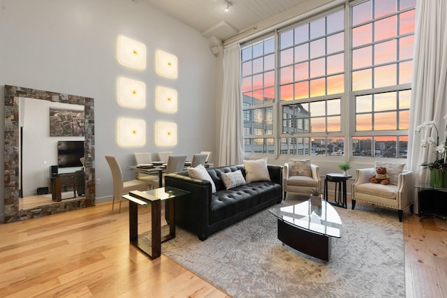 interior space with a towering ceiling, track lighting, and hardwood / wood-style floors