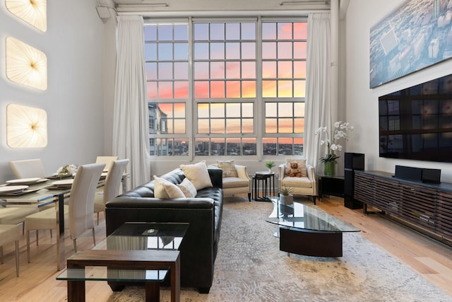 living room featuring a towering ceiling and hardwood / wood-style floors