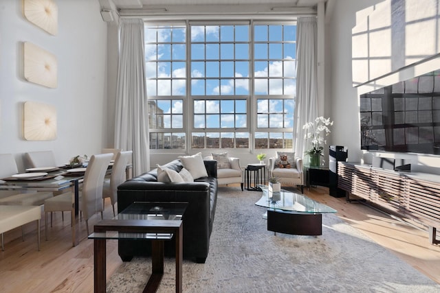 living room featuring wood-type flooring, a high ceiling, and a wealth of natural light