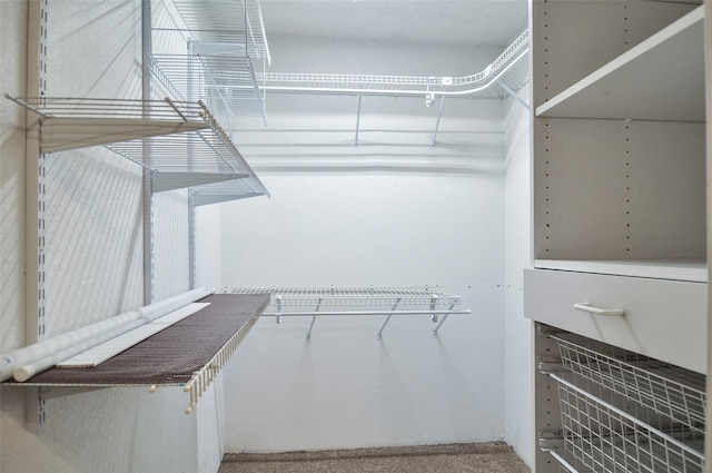 walk in closet featuring carpet