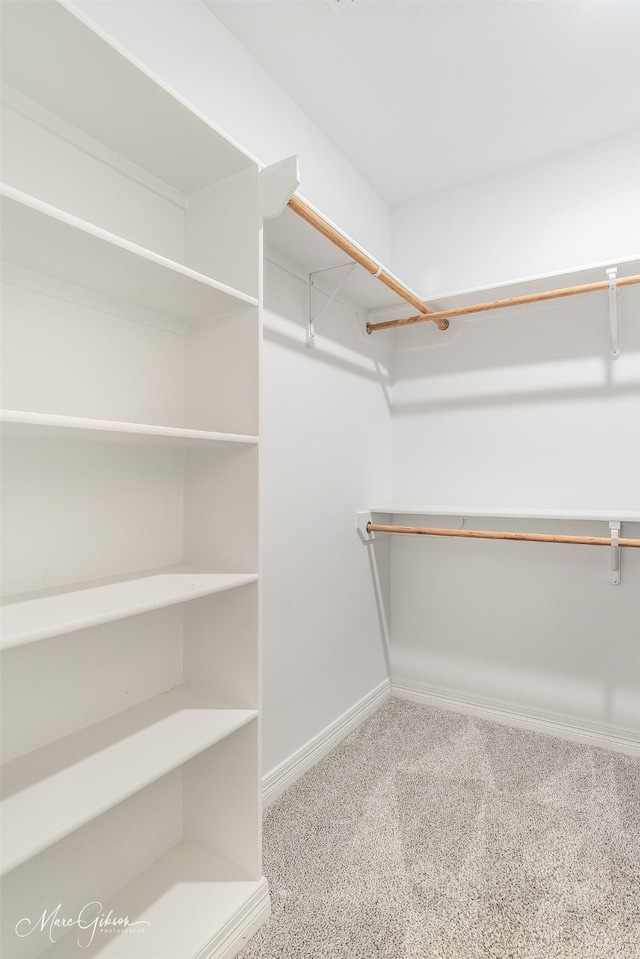 walk in closet featuring carpet