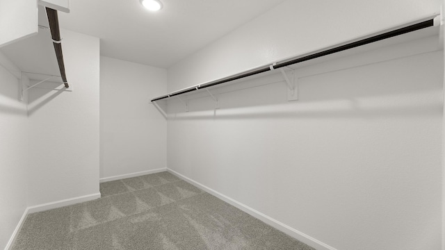 walk in closet with light carpet