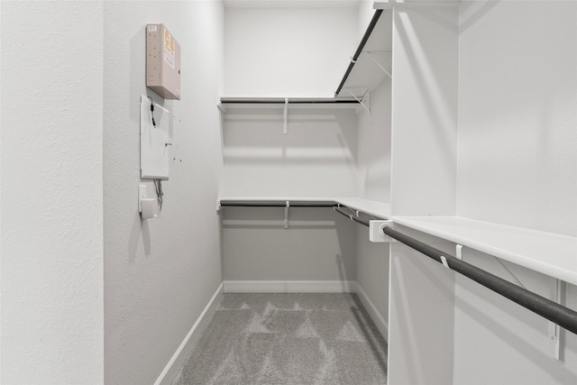 walk in closet with light colored carpet