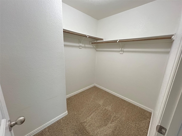 spacious closet with carpet floors