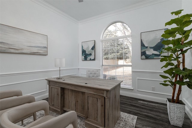 office space with ornamental molding and dark hardwood / wood-style flooring