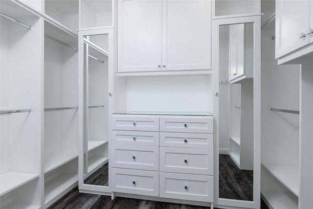 spacious closet with dark wood-style flooring