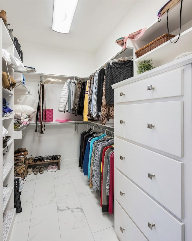 view of walk in closet